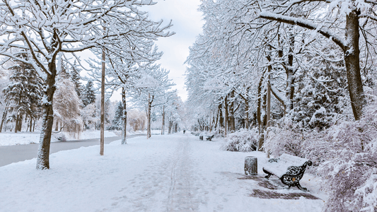 How to BBQ in Any Weather: Autumn and Winter Grilling Tips