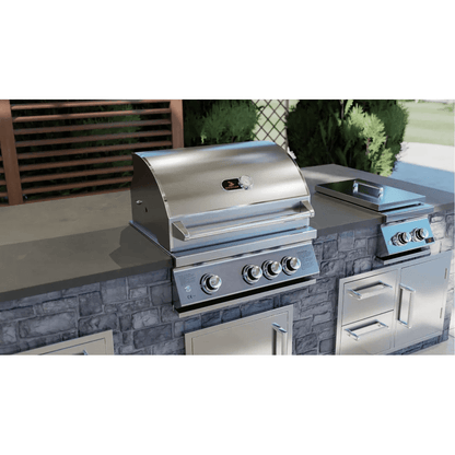 Whistler Grills Burford 3 Built-In Gas Grill with Rotisserie & Cover