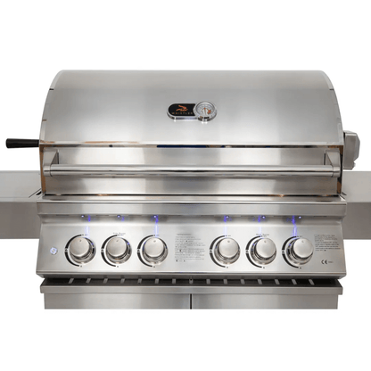 Whistler Grills Bibury 4 Gas Grill with Rotisserie & Cover